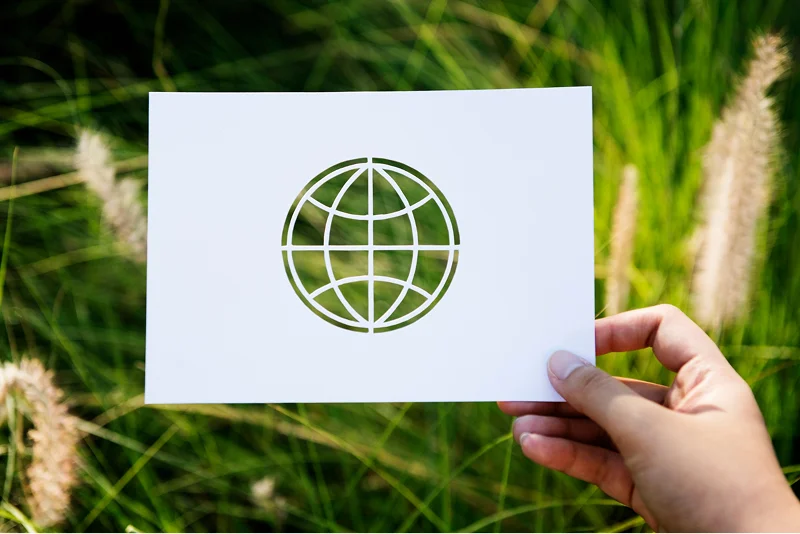 Sustainability & Quality Standards